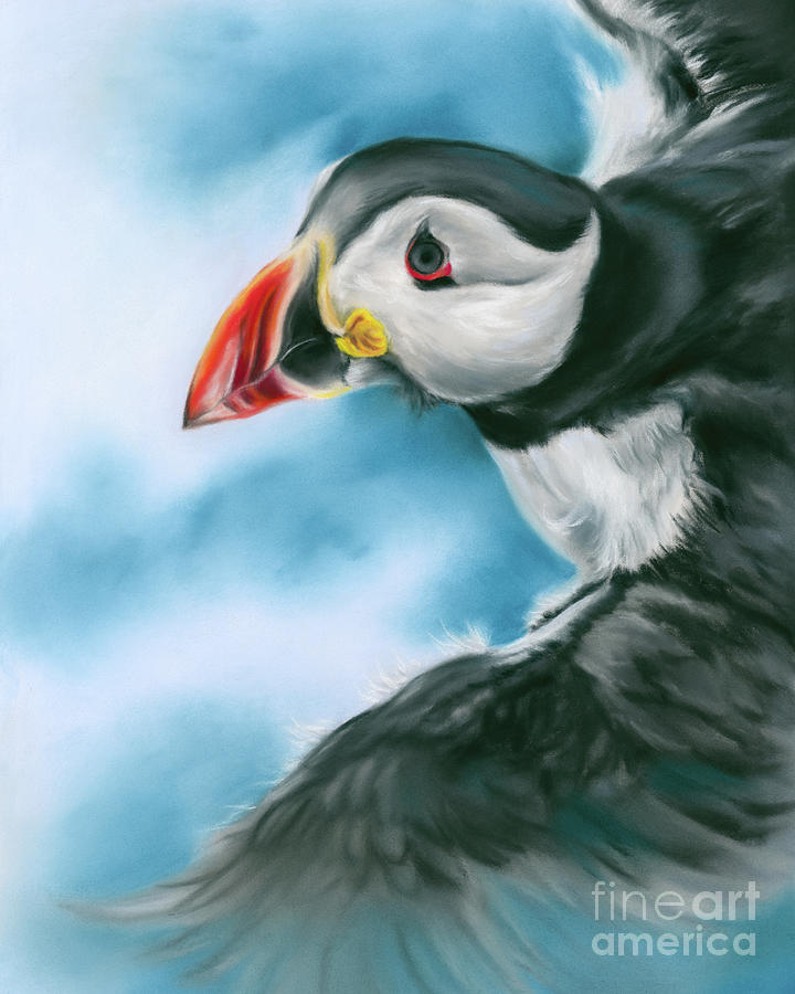 Puffin Painting - Atlantic Puffin in Flight by MM Anderson