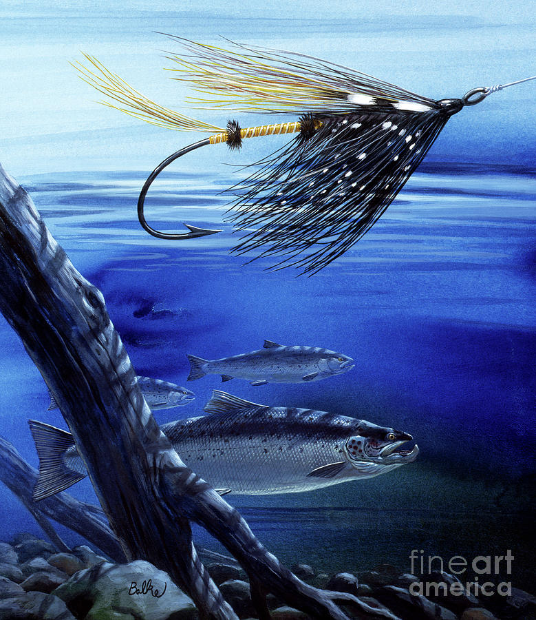 Atlantic Salmon And Jock Scott Fly Painting by Don Balke
