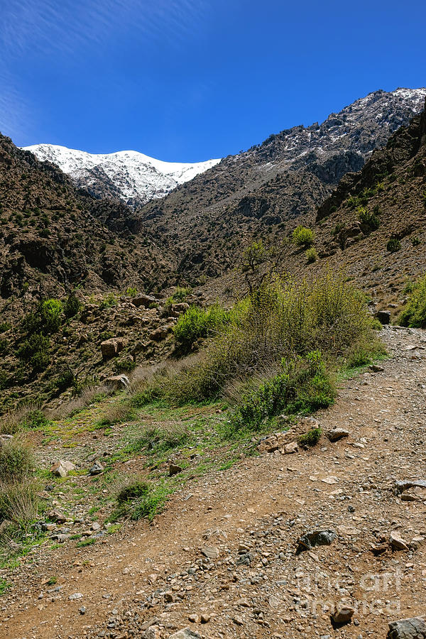 Atlas Mountains in Morocco Photograph by Olivier Le Queinec