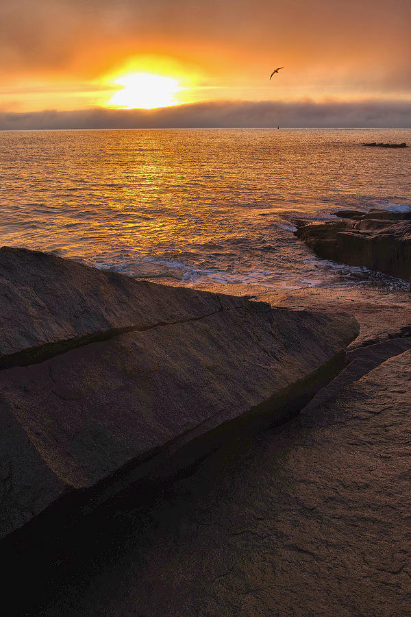 Atmospheric Acadia Sunrise Photograph by Stephen Vecchiotti