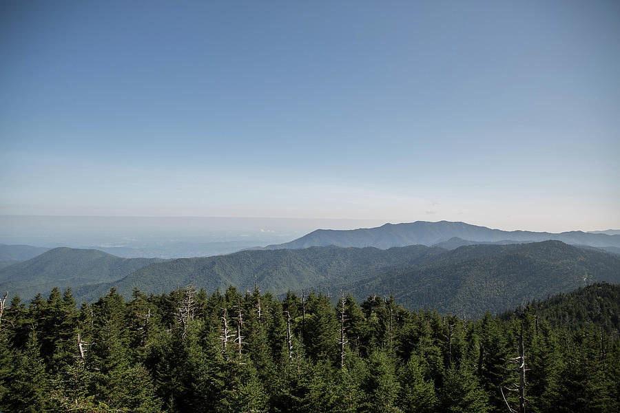 Atop Clingmans Dome Photograph by Jessica Brown