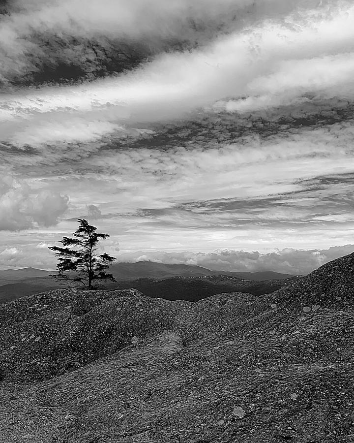 Atop Grandfather Mountain BW Photograph by Lee Darnell