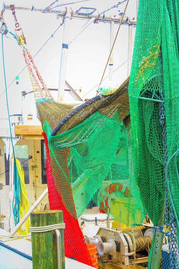 Attention Boaters In Placida Photograph by Alison Belsan Horton Attention Boaters In Placida Photograph by Alison Belsan Horton