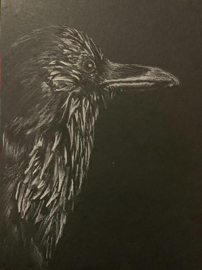 Attentive Crow Drawing by Christine Marie Rose