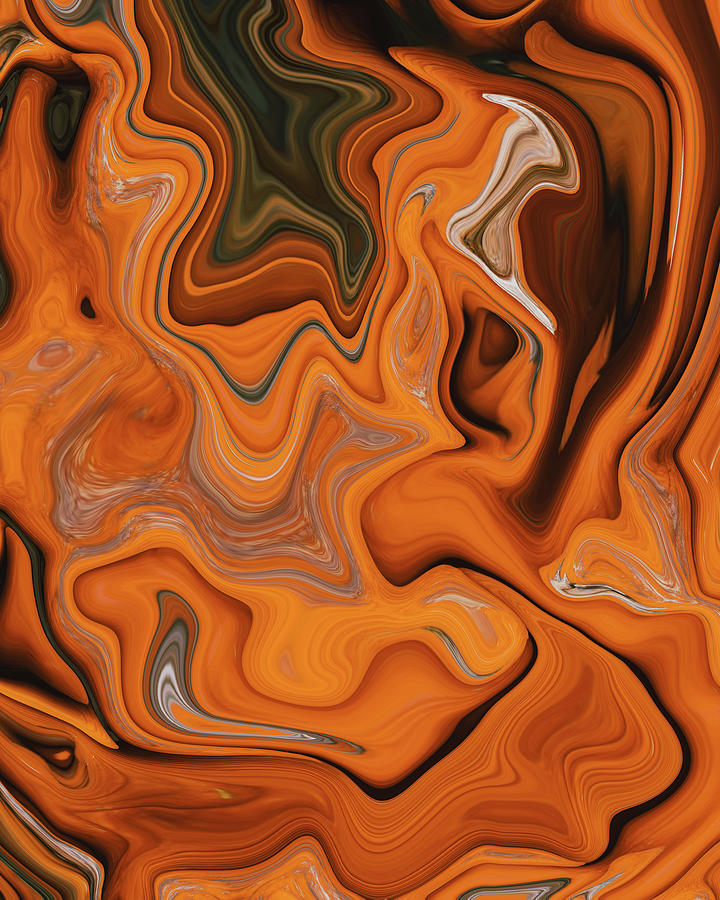 Atticus 01 - Contemporary Abstract - Fluid Painting - Marbling Art - Princeton Orange Digital Art