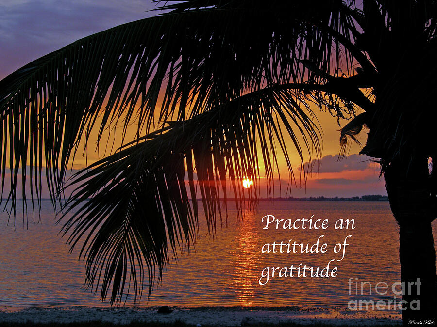 Sunset Photograph - Attitude Of Gratitude by Brenda Harle
