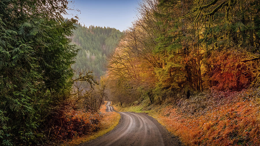 Atumn Road to colors Photograph by Bill Posner