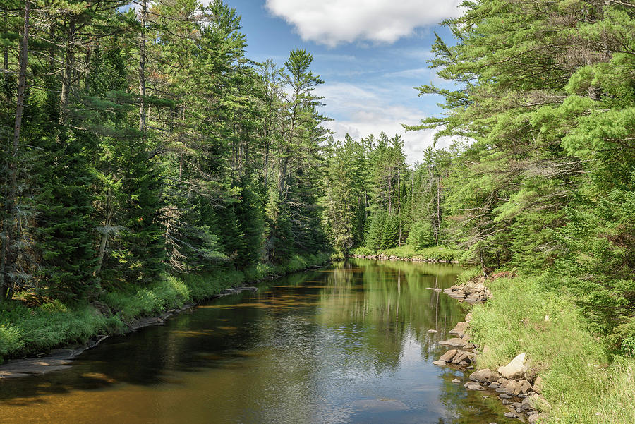 Au Sable River Photograph by Guy Whiteley