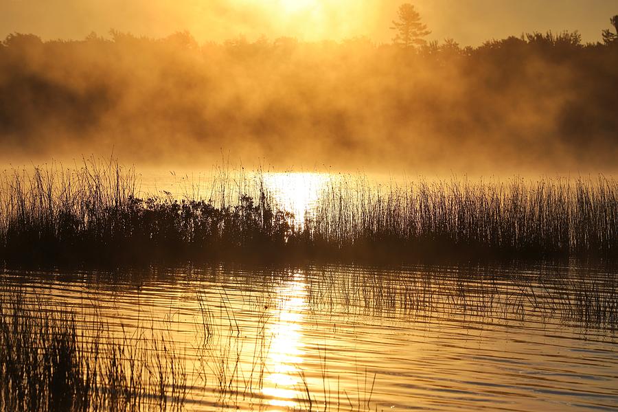 Au Train Lake XXI Photograph by Nicholas Miller - Fine Art America