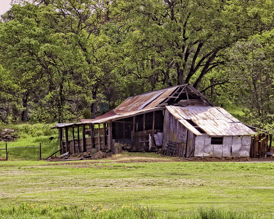 Auburn Barn Photograph by William Havle