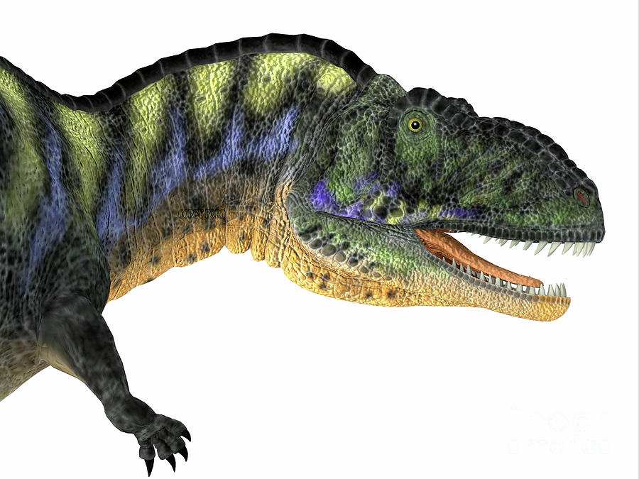 Aucasaurus Dinosaur Head Digital Art by Corey Ford