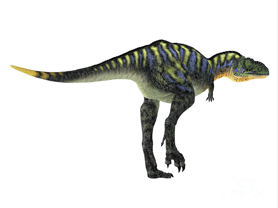 Aucasaurus Dinosaur Tail Digital Art by Corey Ford