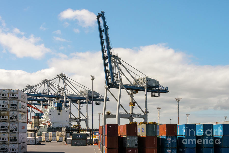 Auckland Container Cranes Photograph by Bob Phillips