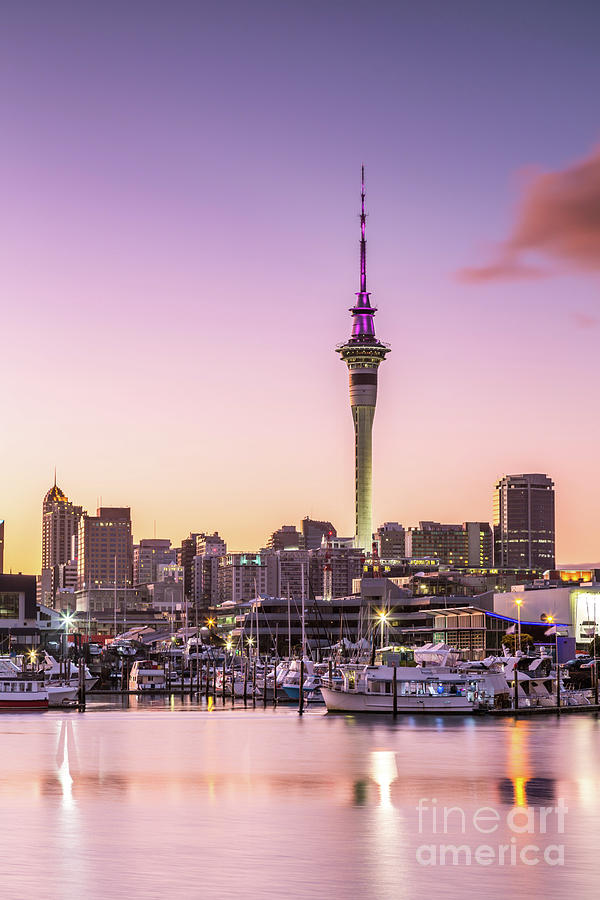 Auckland downtown and harbor, New Zealand Photograph by Matteo Colombo ...