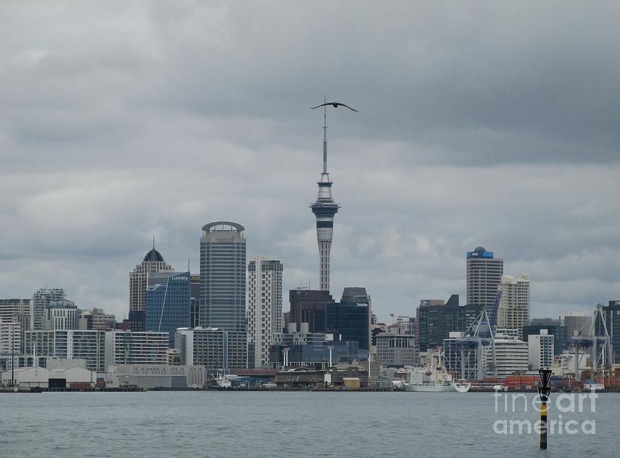 Auckland Skyline Photograph by World Reflections By Sharon