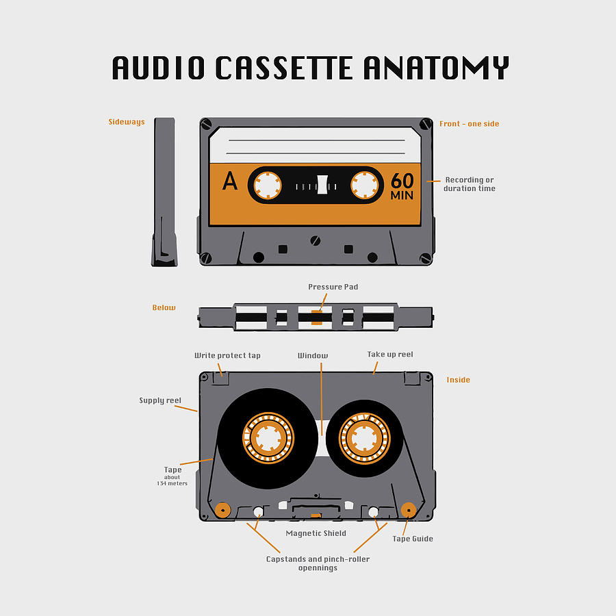 Audio Cassette Anatomy Mixed Media