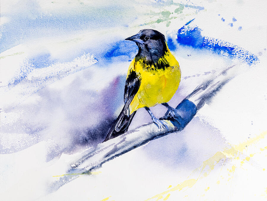 Wildlife Painting - Audubons Oriole #5404 by Daniel Lee Brown