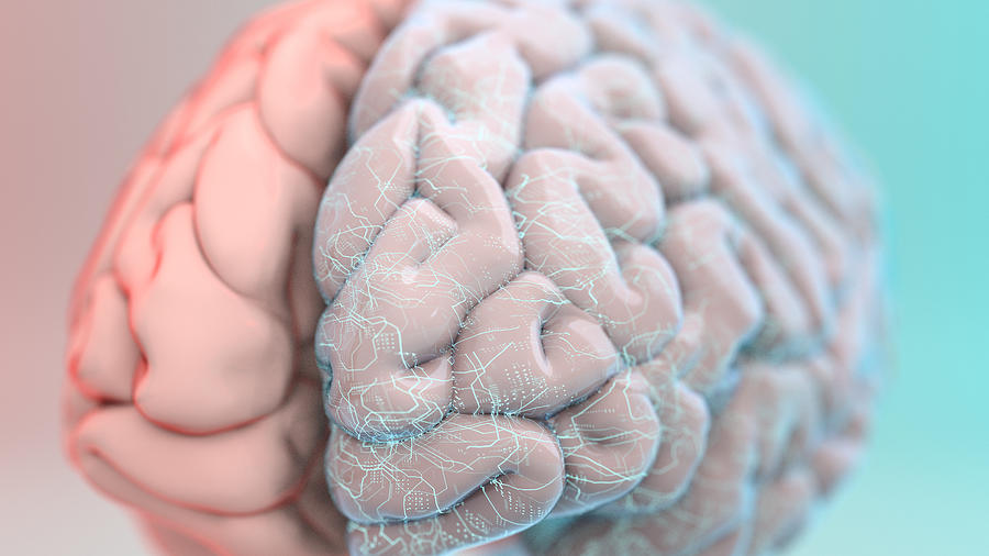 Augmented brain Photograph by Piranka