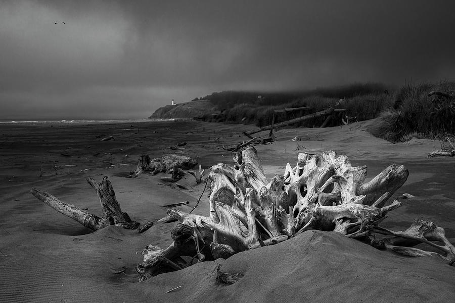 Black And White Photograph - August Benson Beach by Robert Potts