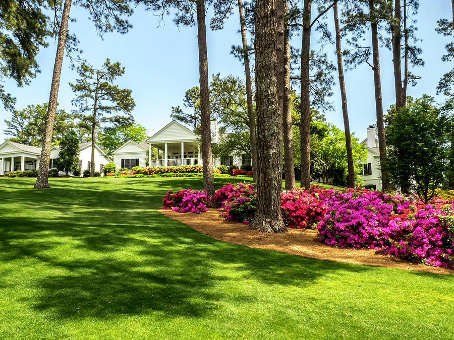 Augusta National in Bloom... Photograph by David Choate