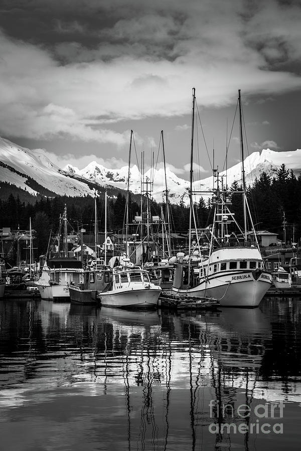 Auke Bay in Black and White Photograph by Dlamb Photography