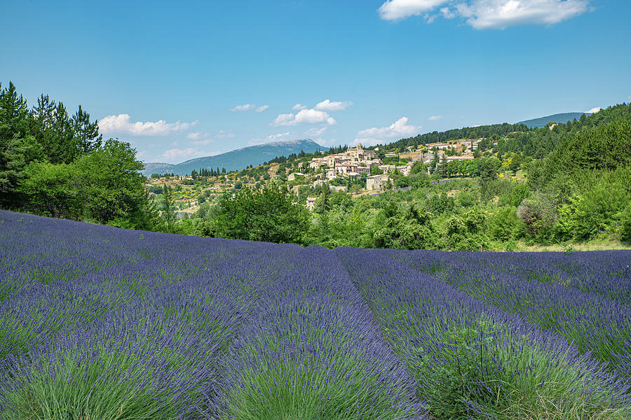 Aurel in Provence Photograph by Rob Hemphill