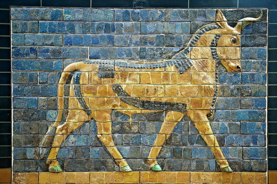 Aurochs glazed panel from the Ishtar Gate - Babylon 575 BC - Istanbul Archseological Museum Photograph by Paul E Williams