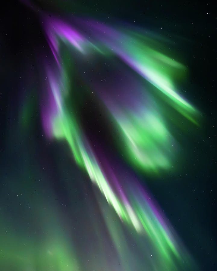 Aurora Alaska Purple Streak Photograph by William Kennedy