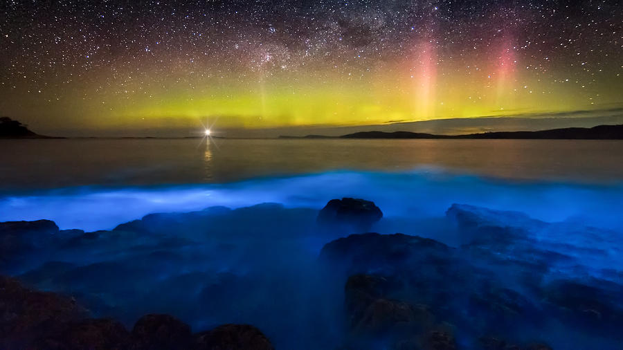 Aurora Australis over blue bioluminescence Photograph by Chasing Light - Photography by James Stone james-stone.com