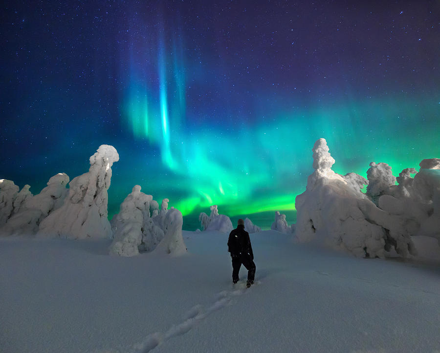 Aurora Borealis / Northern Lights, Iso-Syöte Finland Photograph by Samuli Vainionpää