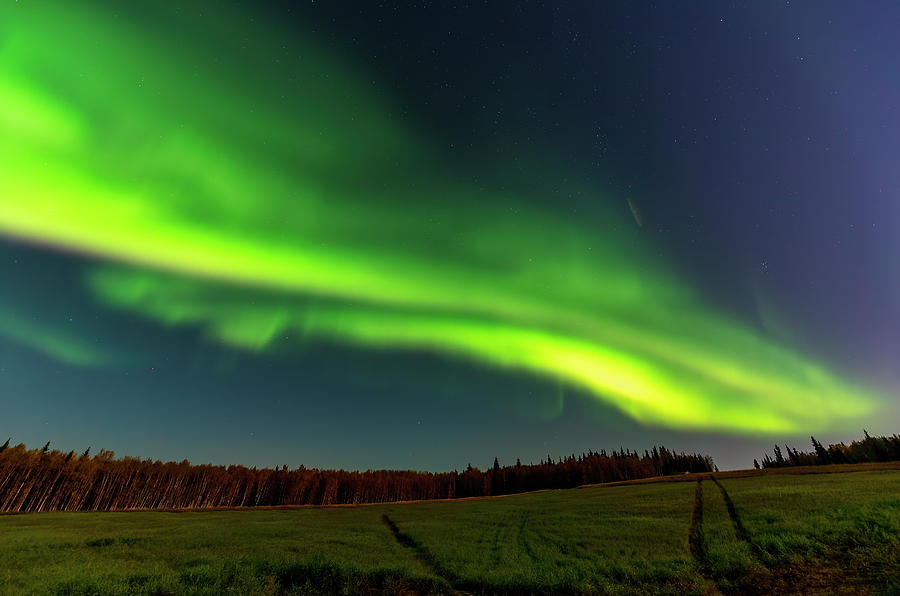 Aurora Borealis 3 Photograph by Doug Holck