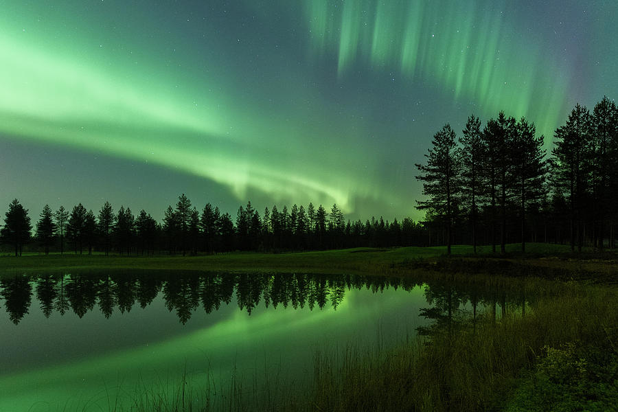 Aurora borealis above a pond Photograph by Thomas Kast