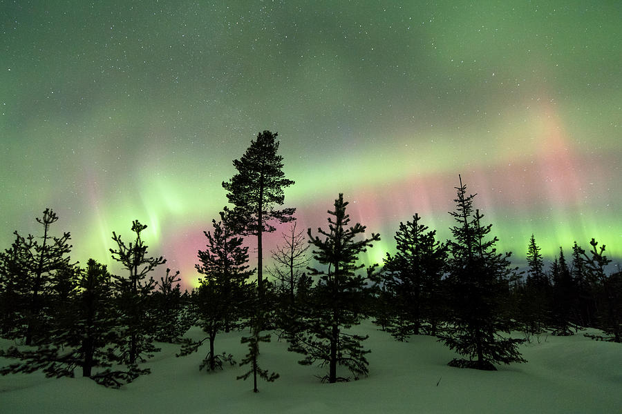 Aurora Borealis and starry sky Photograph by Roberto Moiola - Fine Art ...