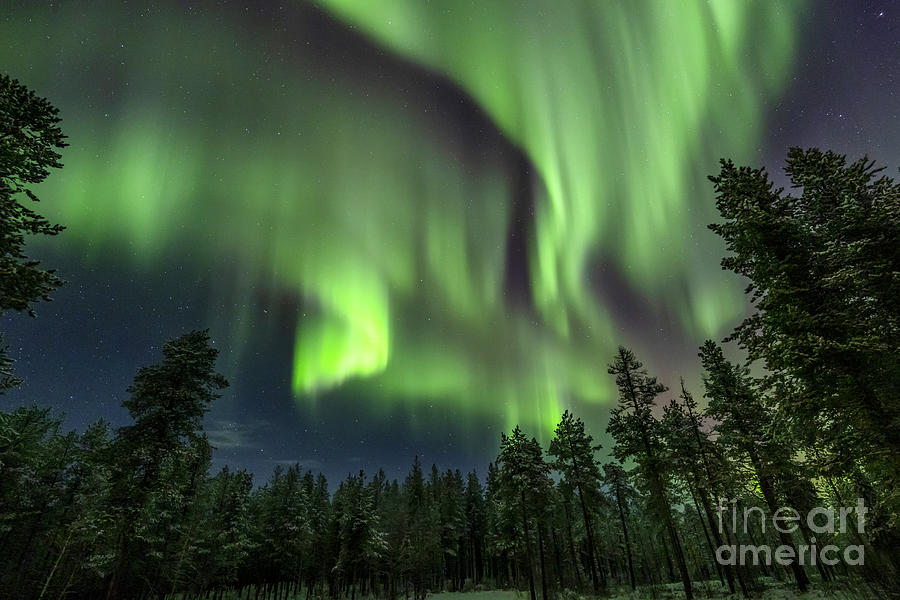 Aurora borealis Photograph by Arterra Picture Library