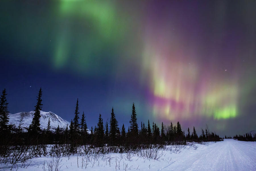 Aurora Borealis at Alaskas Backroad - 2 Photograph by Alex Mironyuk