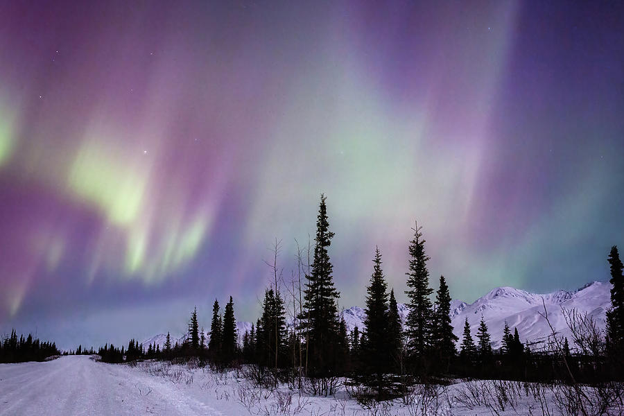 Aurora Borealis at Alaskas Backroad - 3 Photograph by Alex Mironyuk