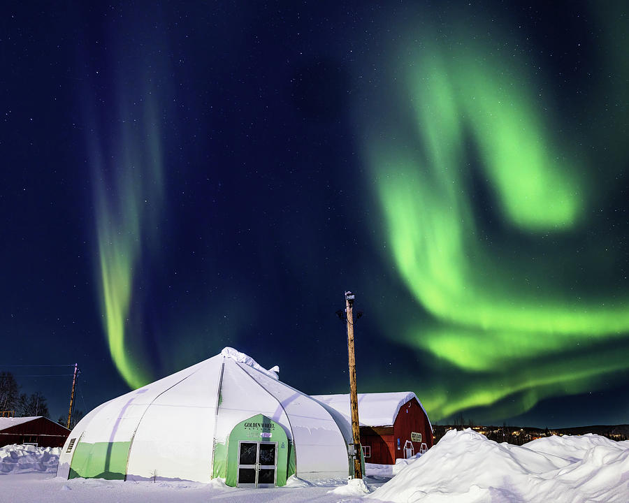 Aurora Borealis in Fairbanks Photograph by Alex Mironyuk