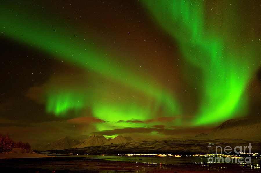 Aurora borealis or northern lights ,Lyngen Alps, North Norway Photograph by Neale And Judith Clark