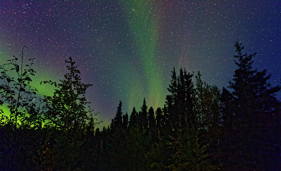 Alaska Aurora Colors Photograph by Doolittle Photography and Art