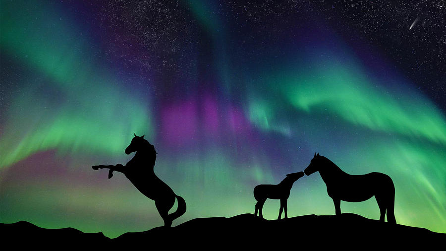 Aurora Horses Digital Art by Larah McElroy