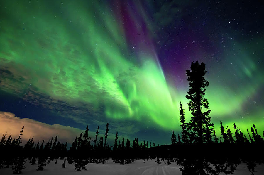 Aurora Magical Night Photograph by William Kennedy