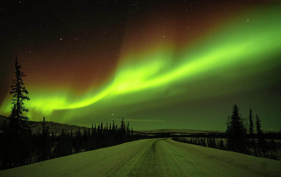 Aurora Over The Dalton Highway Photograph by Rebecca Gillum - Fine Art ...