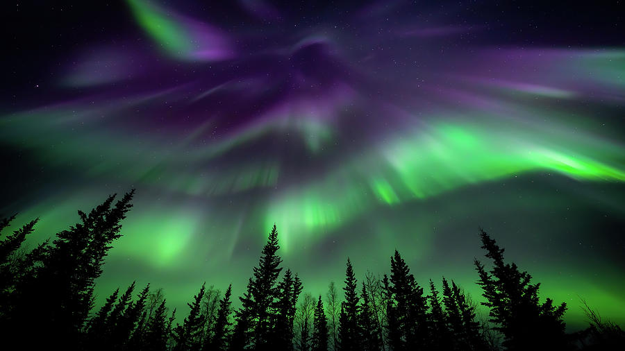 Aurora Over The Evergreens 2 Photograph by William Kennedy