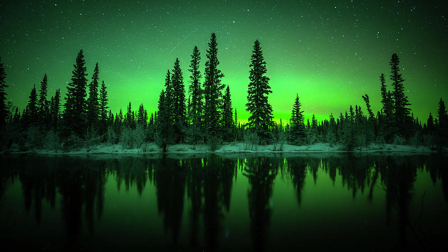 Aurora Reflections Photograph by William Kennedy