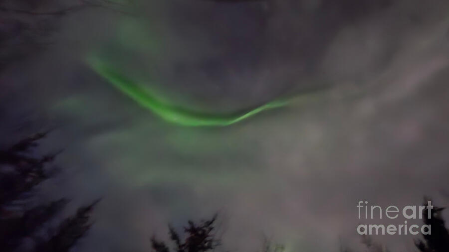 Aurora Smile Photograph by David Jennings Aurora Smile Photograph by David Jennings