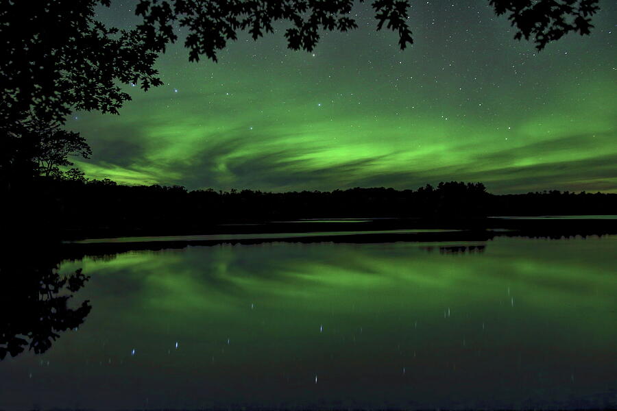 Aurora Under The Oak Photograph by Dale Kauzlaric