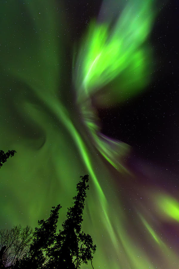 Aurora Vortex Photograph by Kyle Lavey