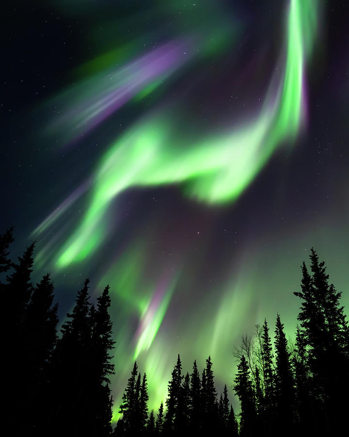 Aurora Waves Photograph by William Kennedy