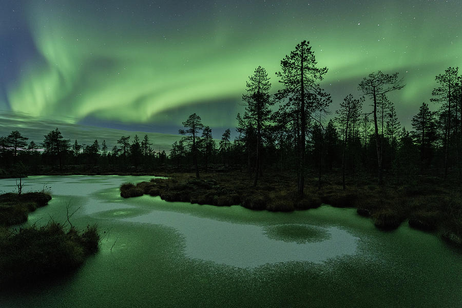Auroras served with powdered sugar Photograph by Thomas Kast