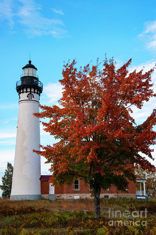 AuSable Lighthouse and Red Tree Photograph by Bob Phillips